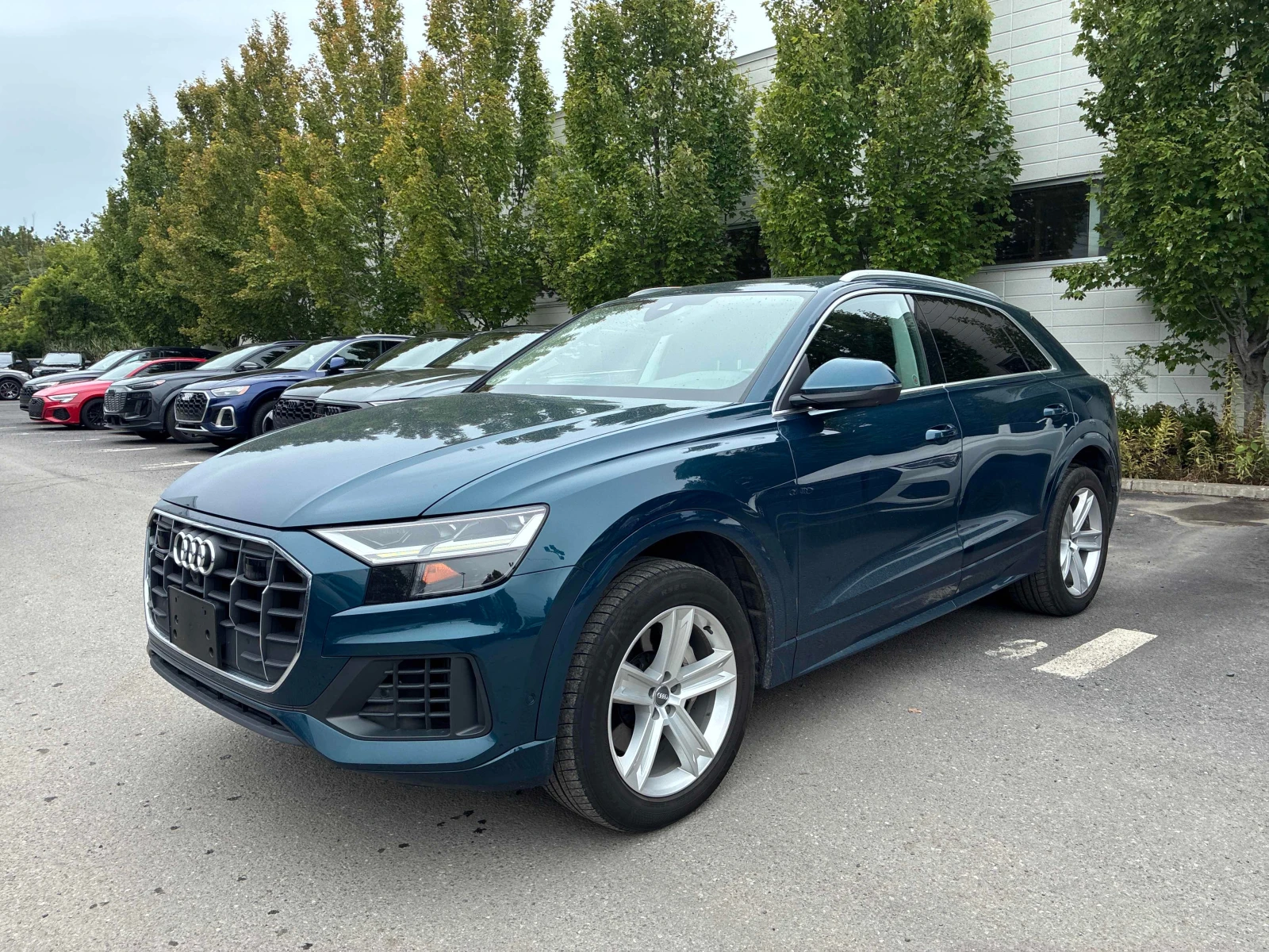 Audi Q8 * Progressiv * CARFAX * ОПЦИЯ ЗА ФИНАНСИРАНЕ, снимка 15 - Автомобили и джипове - 56012214