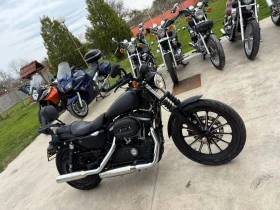 ����� �� �������� �� Harley-Davidson Sportster 883