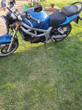 ������ Suzuki SV