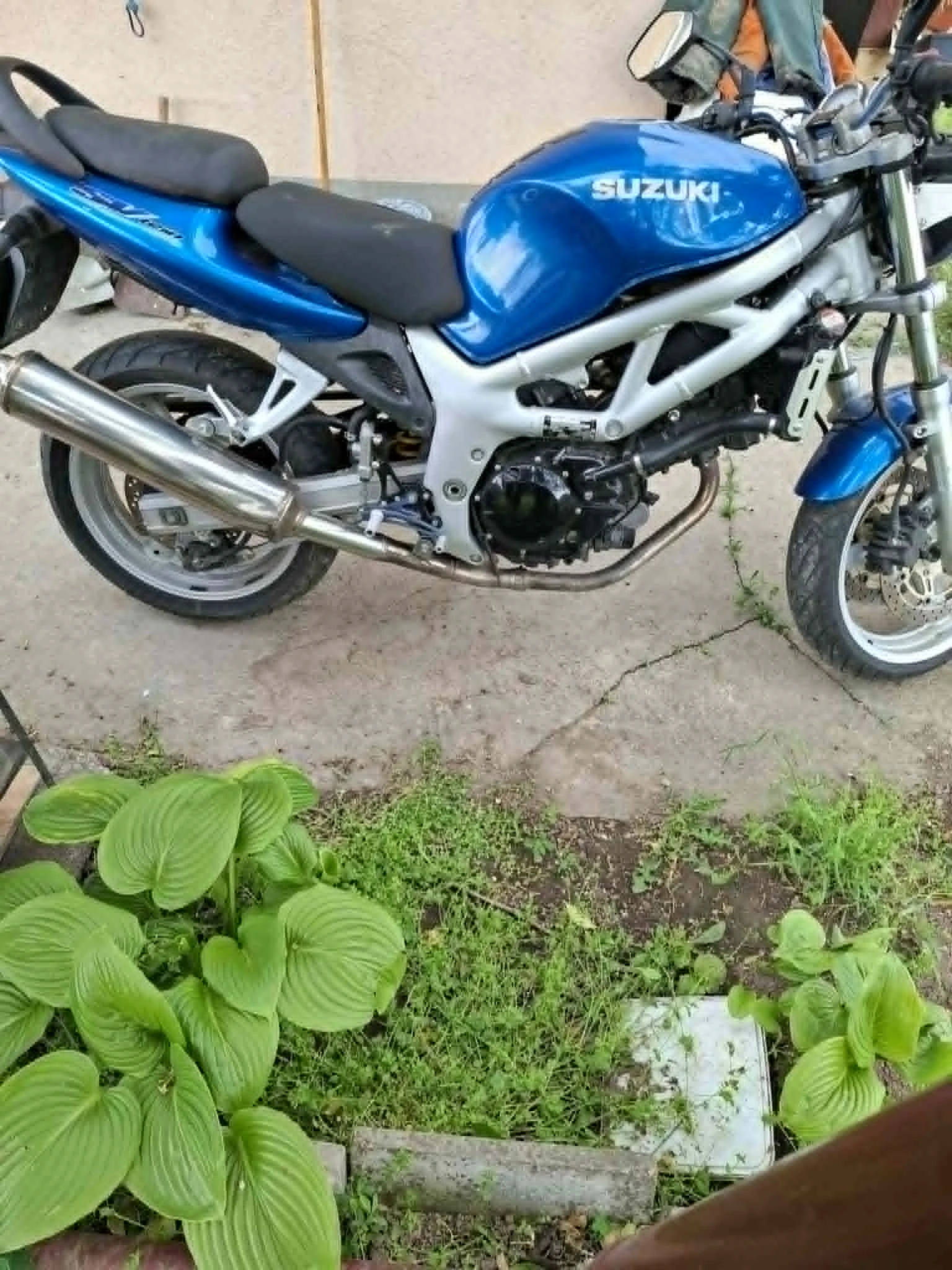 Suzuki SV, снимка 4 - Мотоциклети и мототехника - 56583753