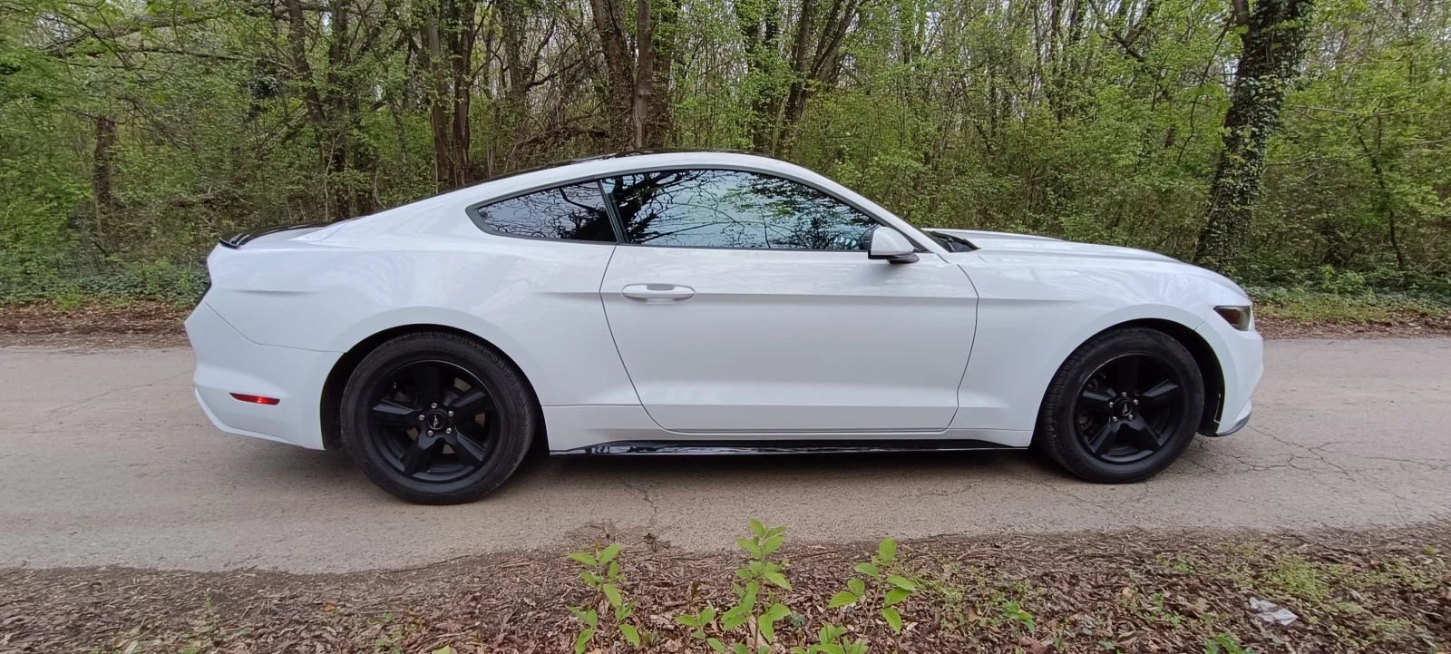 Ford Mustang 3.7 Ръчка - изображение 5