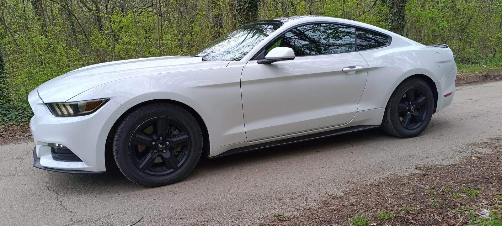 Ford Mustang 3.7 Ръчка - изображение 4