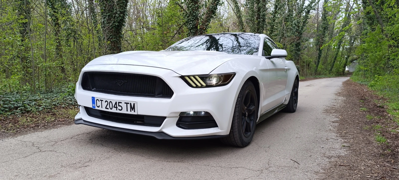 Ford Mustang 3.7 Ръчка - изображение 3