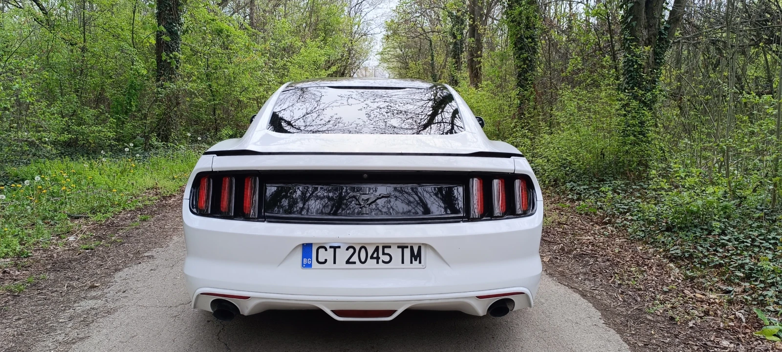 Ford Mustang 3.7 Ръчка - изображение 6