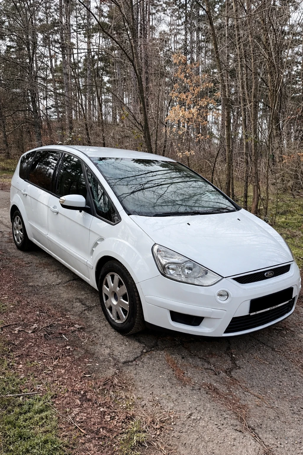 Ford S-Max 2.0 - изображение 5