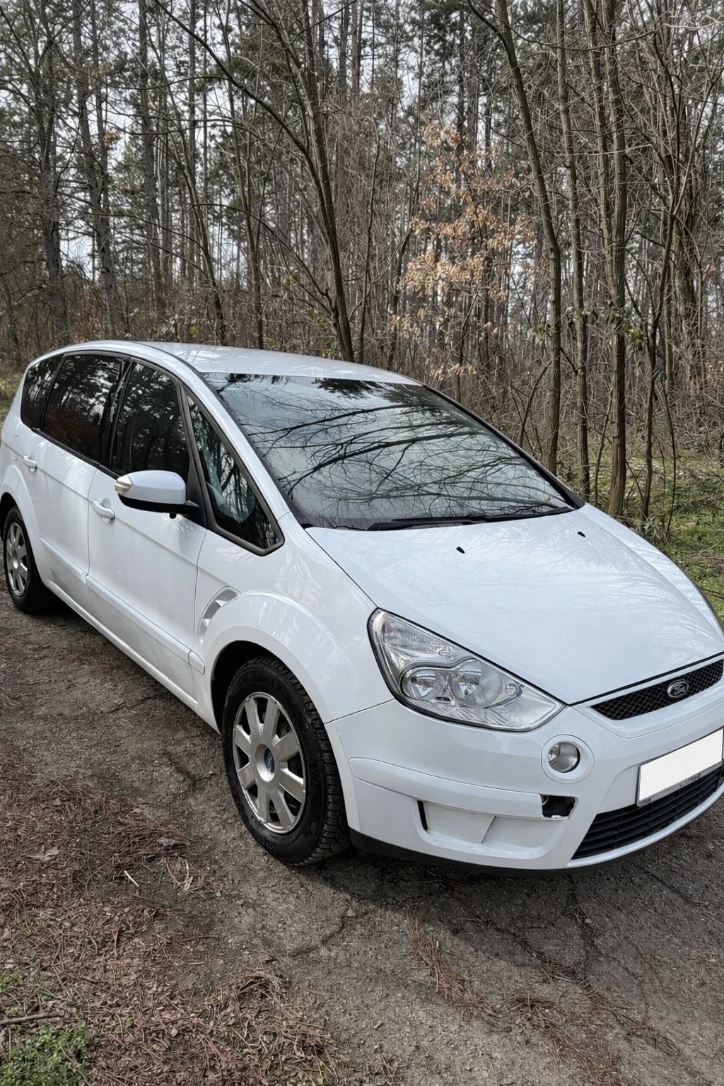 Ford S-Max 2.0 - изображение 6