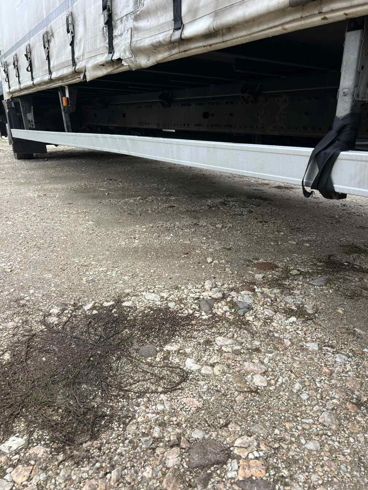 Man Tgl 12.250  ADBLUE   | Mobile.bg   15