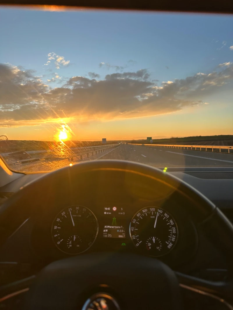 Skoda Octavia, снимка 6 - Автомобили и джипове - 53067540