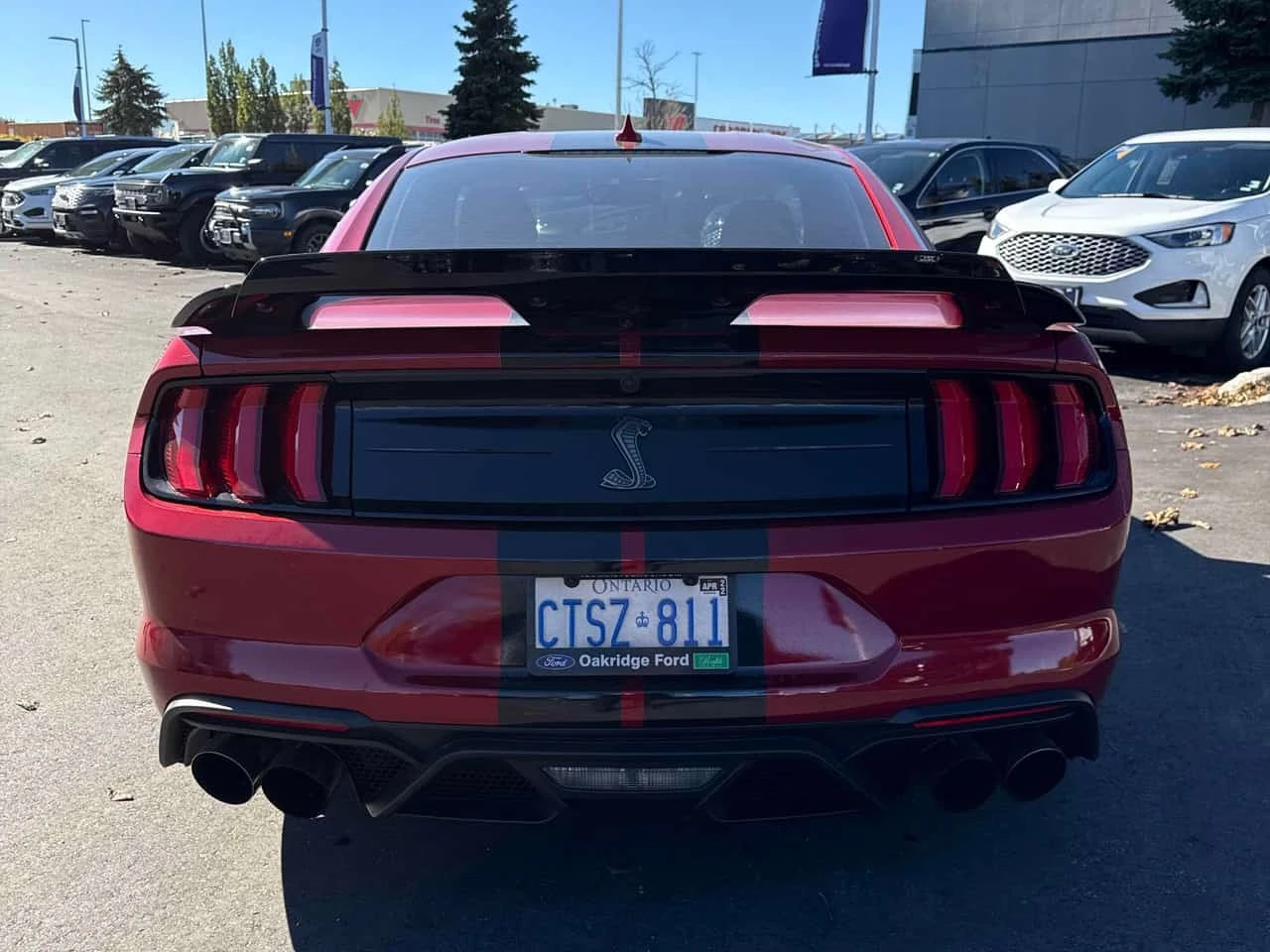Ford Mustang * Shelby GT500 * CARFAX * ��� ������������ ������ | Mobile.bg � ����������� 4