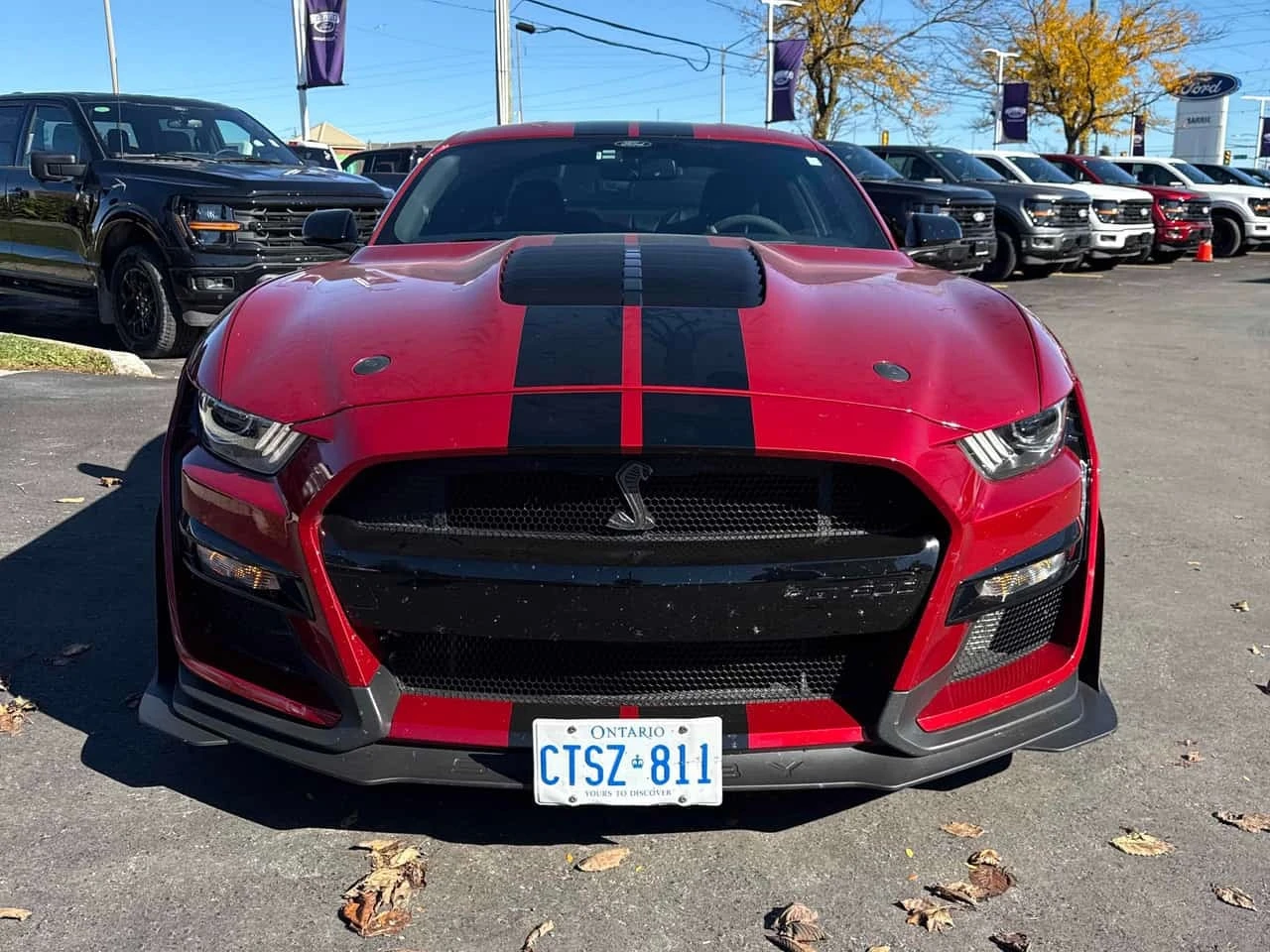 Ford Mustang * Shelby GT500 * CARFAX * ��� ������������ ������ | Mobile.bg � ����������� 6