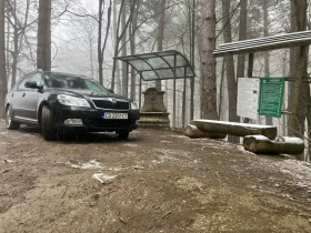 Skoda Octavia 4х4 - 5500 € / 10757.07 лв. - 57977716 15