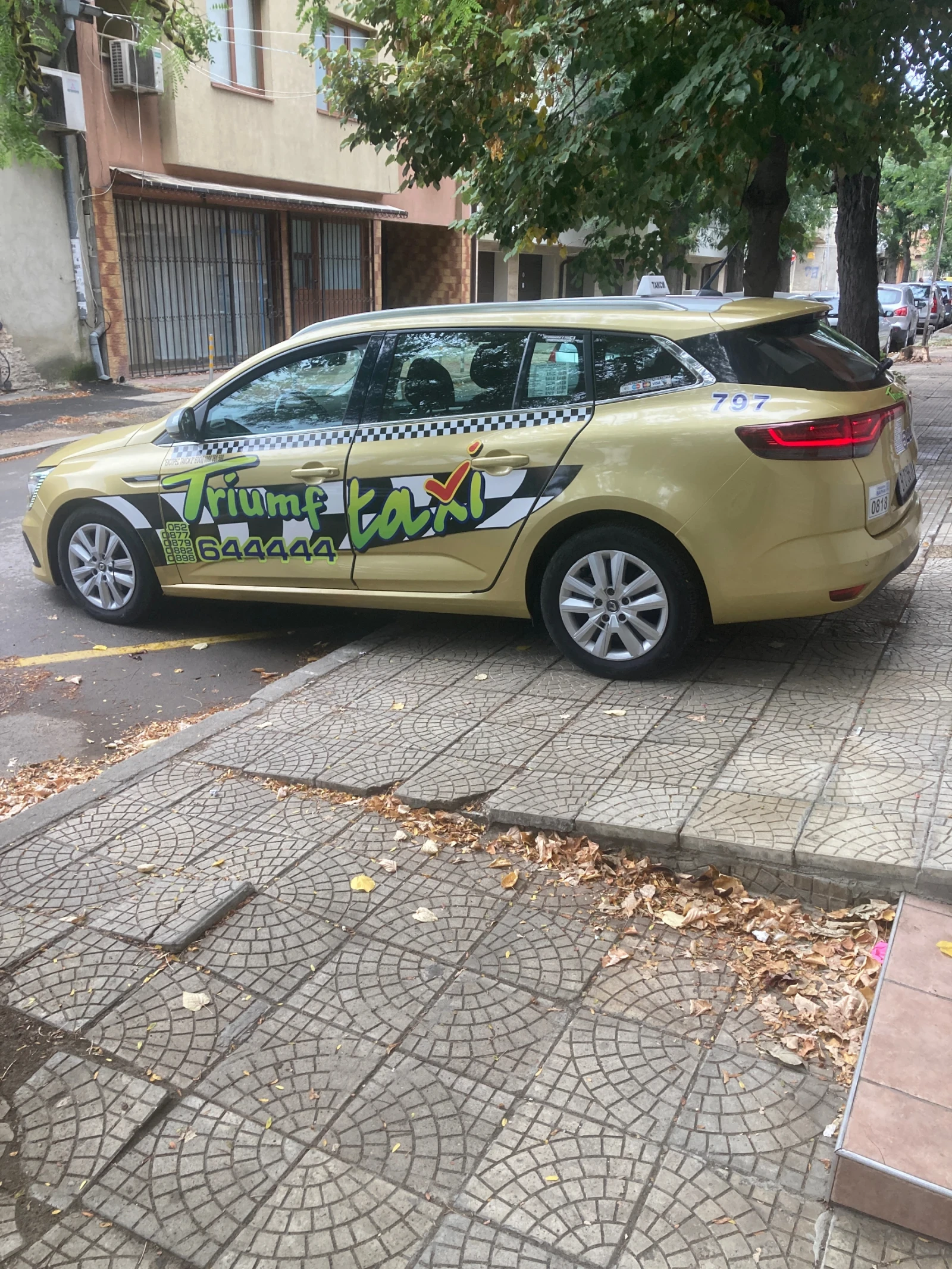 Renault Megane 1, 5DCI, снимка 6 - Автомобили и джипове - 56230096