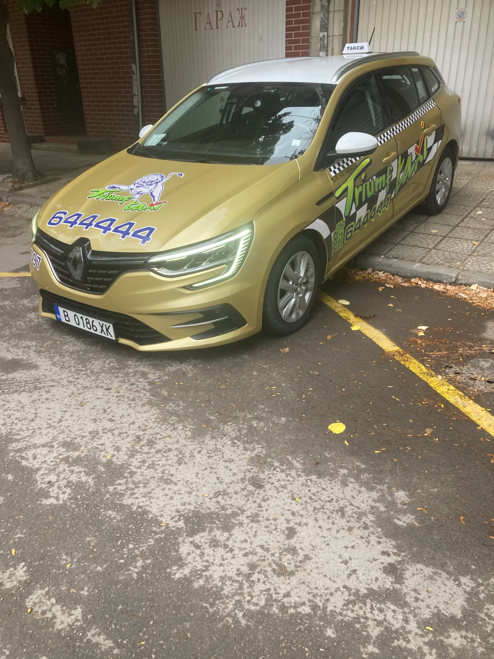 Renault Megane 1, 5DCI, снимка 5 - Автомобили и джипове - 56230096