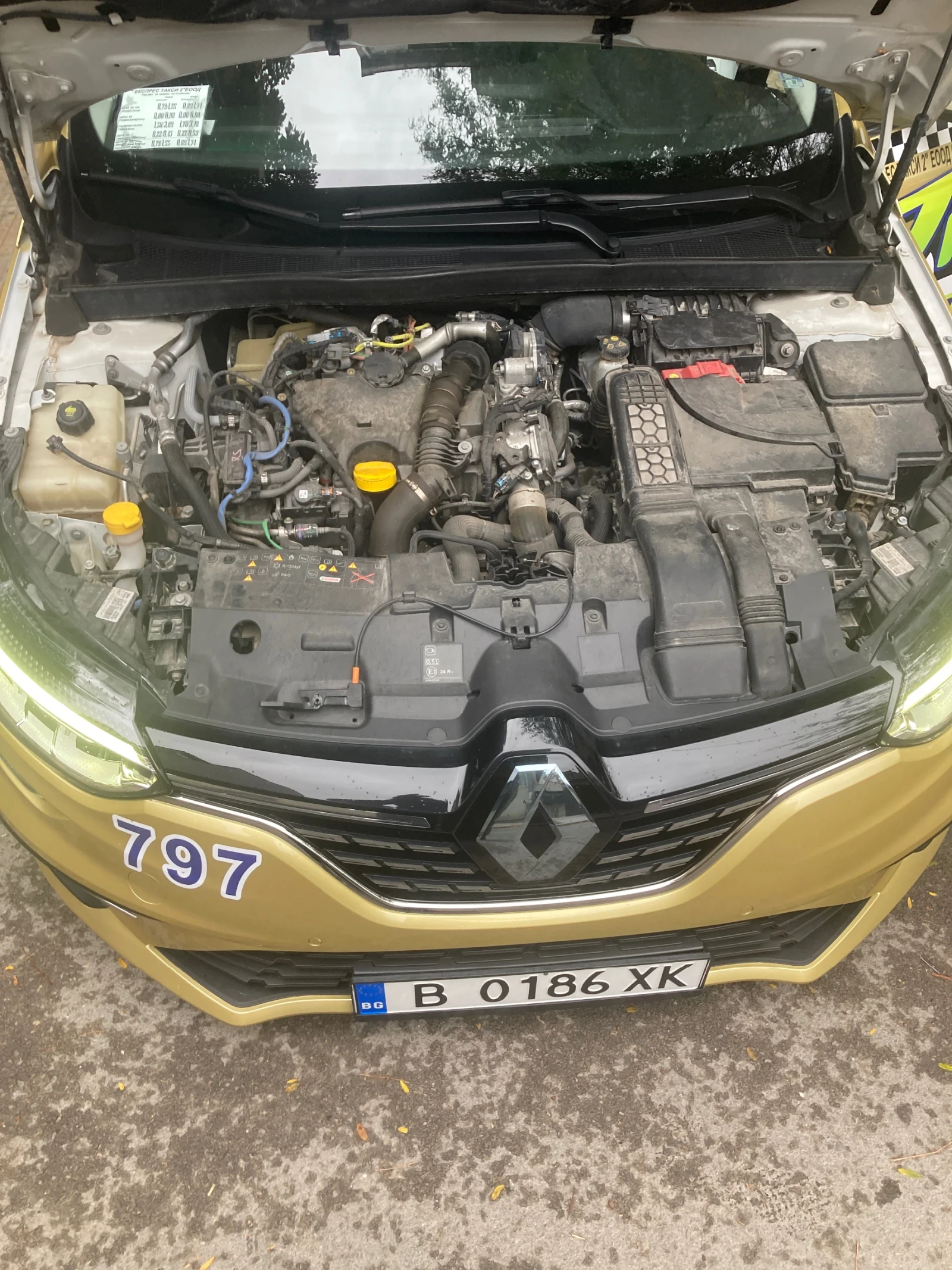 Renault Megane 1, 5DCI, снимка 16 - Автомобили и джипове - 56230096