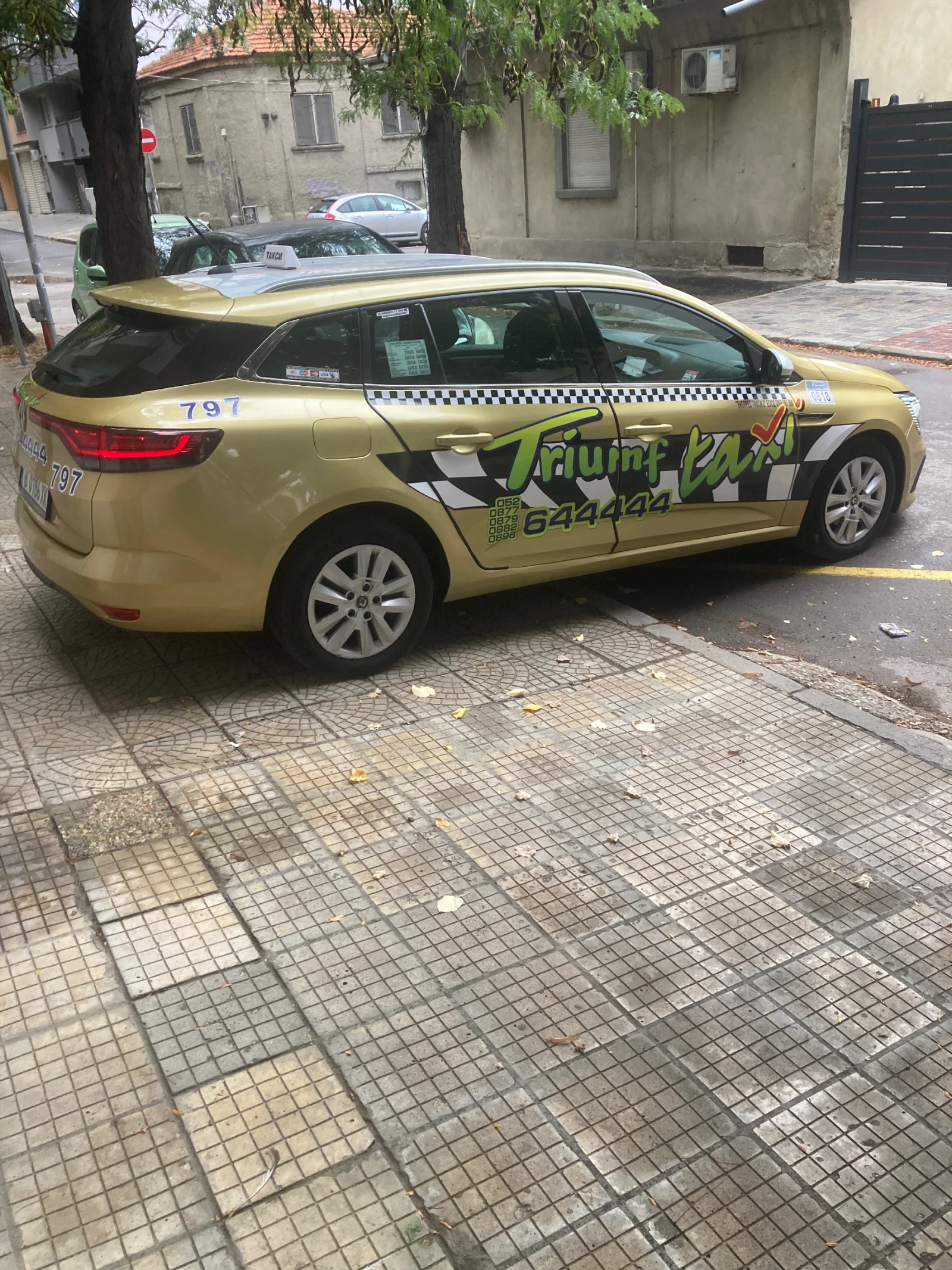 Renault Megane 1, 5DCI, снимка 10 - Автомобили и джипове - 56230096