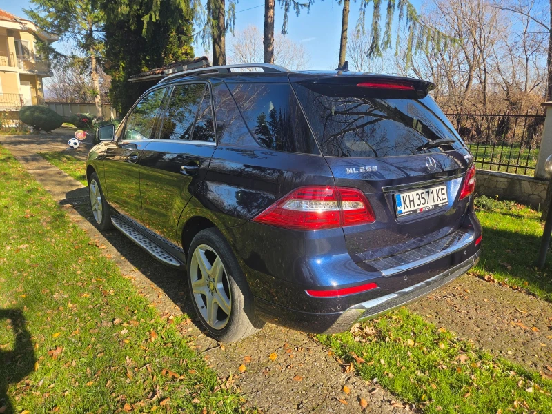 Mercedes-Benz ML 250 Мерцедес МЛ250 АМГ/Панорама/Пружини/Би-Ксенон, снимка 5 - Автомобили и джипове - 53285877