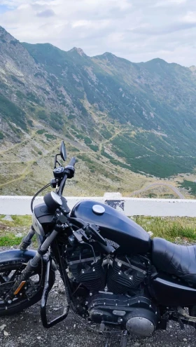 Harley-Davidson Sportster 883 XL, снимка 5