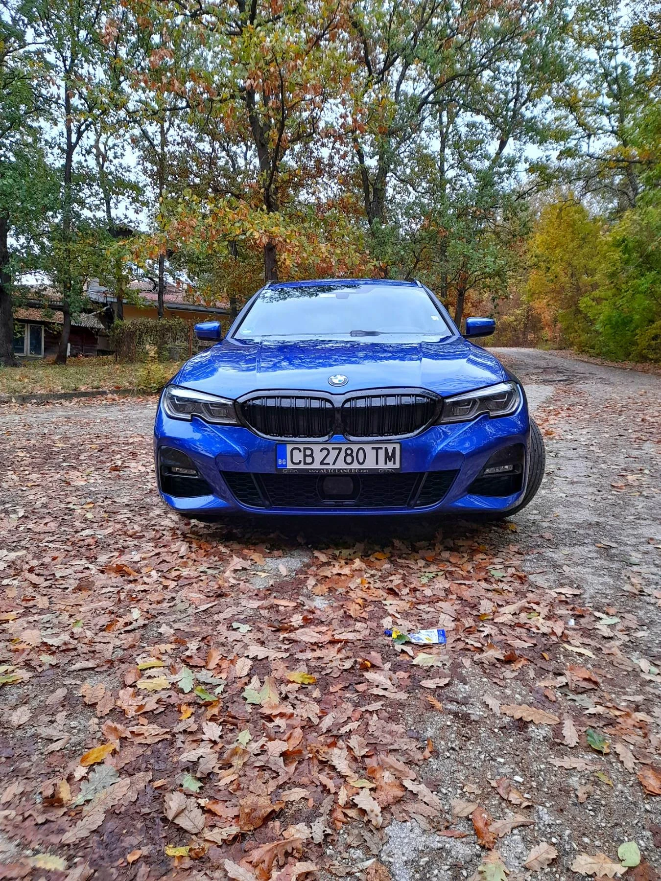 BMW 320, снимка 3 - Автомобили и джипове - 54351287