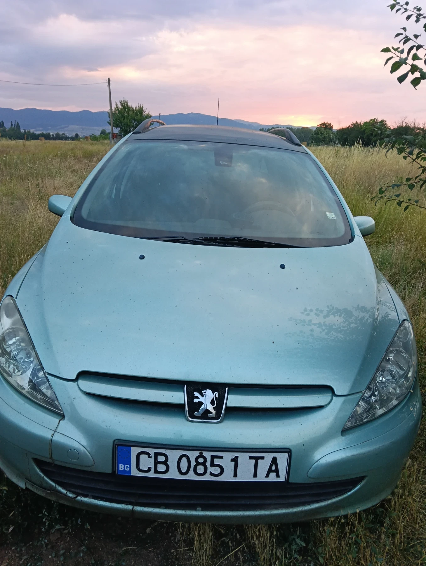 Peugeot 307, снимка 3 - Автомобили и джипове - 55452346
