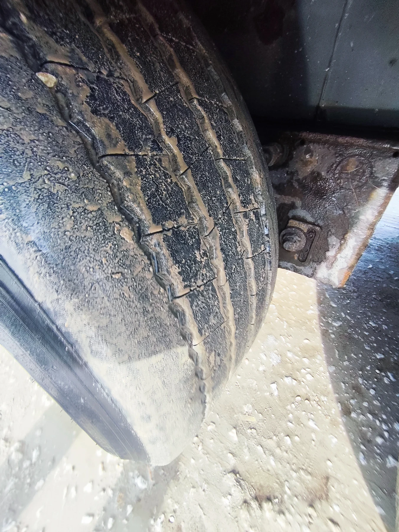 ����������� Krone | Mobile.bg � ����������� 13