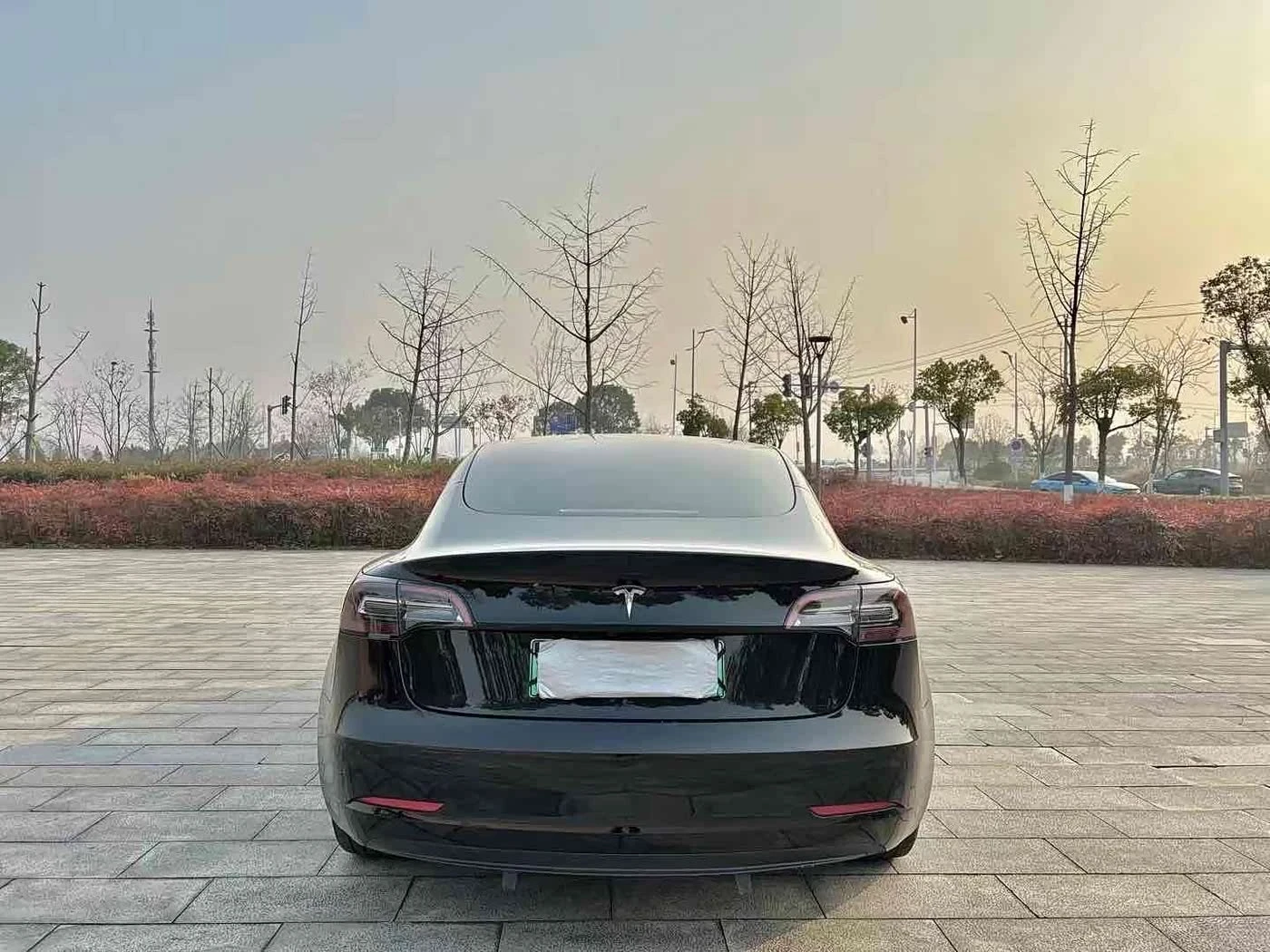 Tesla Model 3 autogeorge.com, снимка 3 - Автомобили и джипове - 53914154