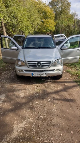 Mercedes-Benz ML 270, снимка 1