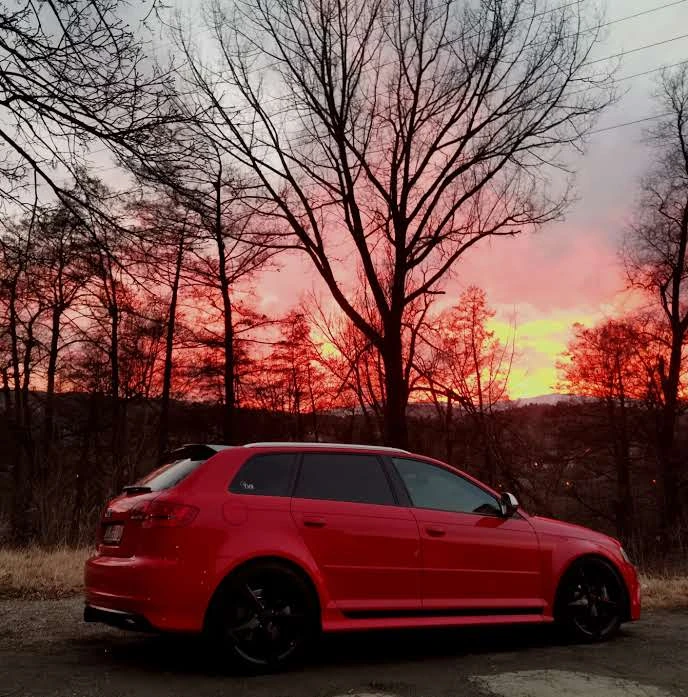 Audi Rs3 3.2 T + DQ500 + AUDI CERAMIC BRAKES, снимка 14 - Автомобили и джипове - 54510547