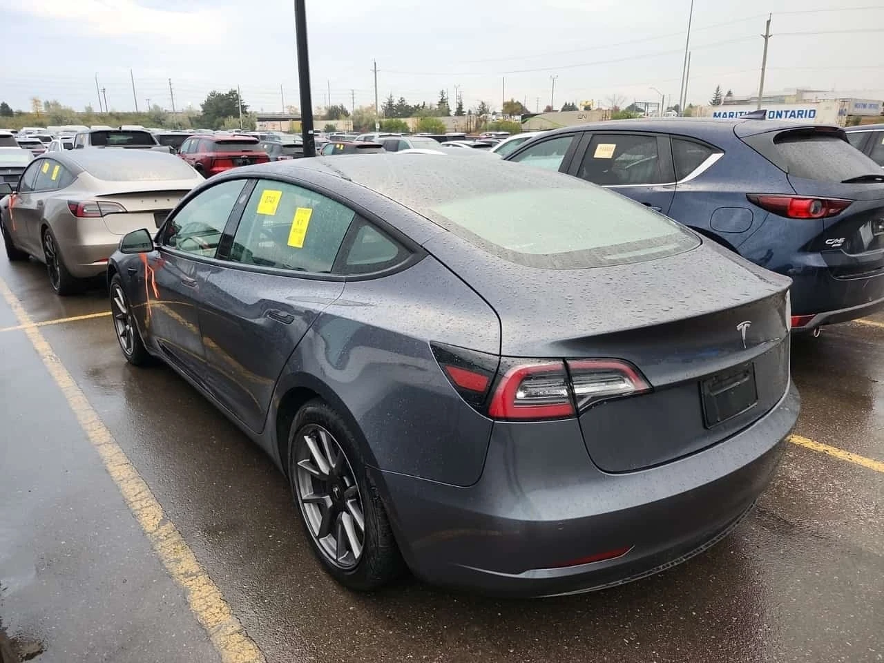 Tesla Model 3 Rwd Standard Range Plus * CARFAX * , снимка 6 - Автомобили и джипове - 56488924