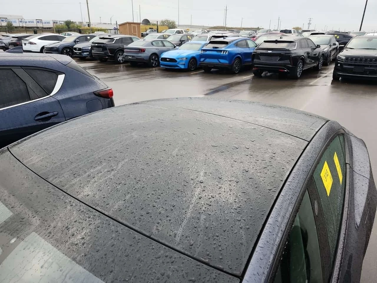Tesla Model 3 Rwd Standard Range Plus * CARFAX * , снимка 7 - Автомобили и джипове - 56488924