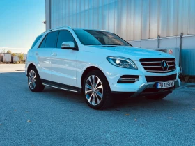  Mercedes-Benz ML 250
