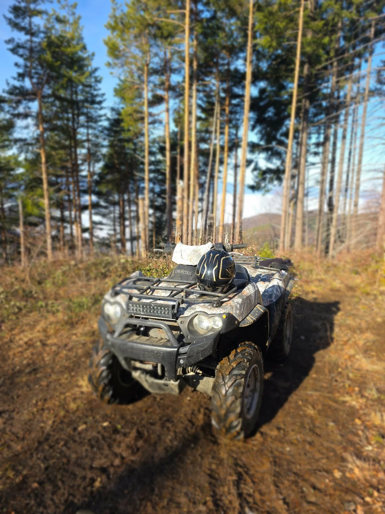 Kawasaki Brute Force 750