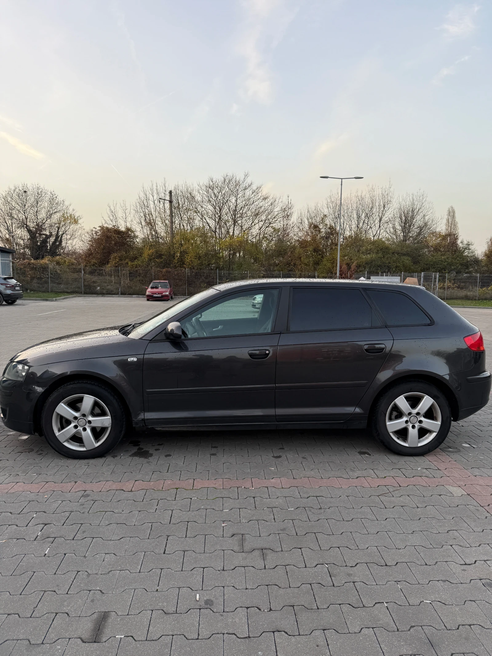 Audi A3 1.9 tdi идва с летни и зимни гуми, снимка 4 - Автомобили и джипове - 54948084