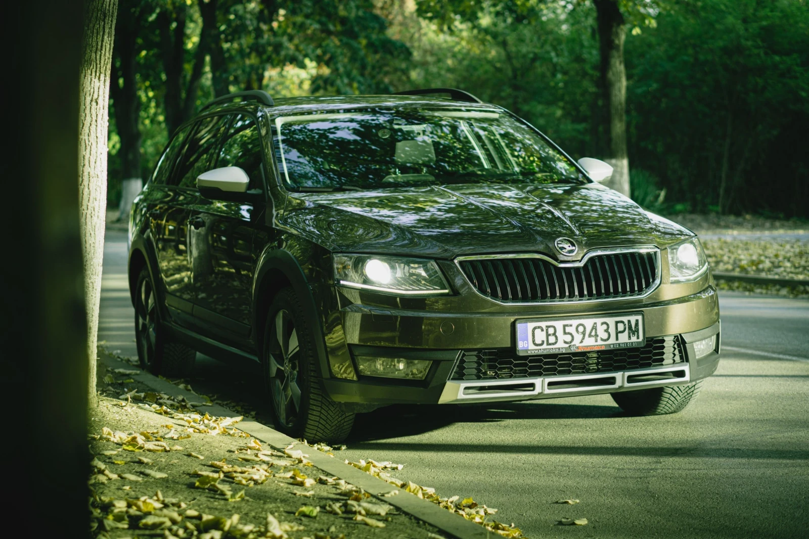 Skoda Octavia Scout 4x4 DSG6 | Mobile.bg � ����������� 7