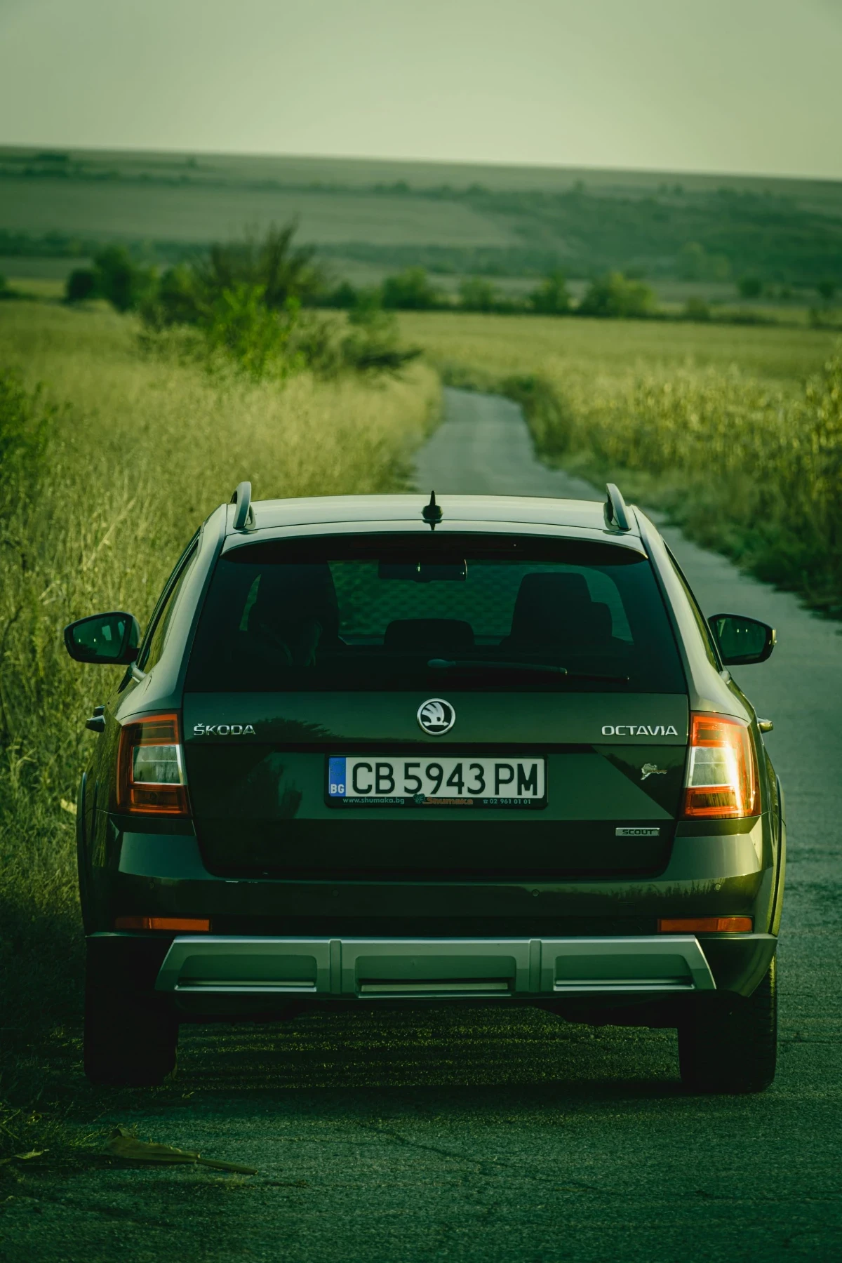 Skoda Octavia Scout 4x4 DSG6 | Mobile.bg � ����������� 8