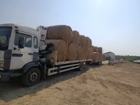 ������ Renault Midliner