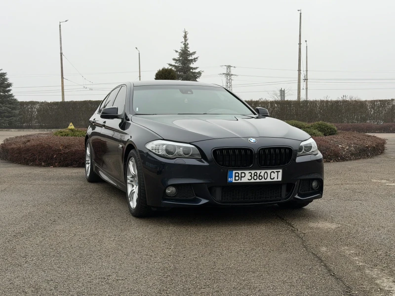 BMW 530 M, снимка 3 - Автомобили и джипове - 53458126