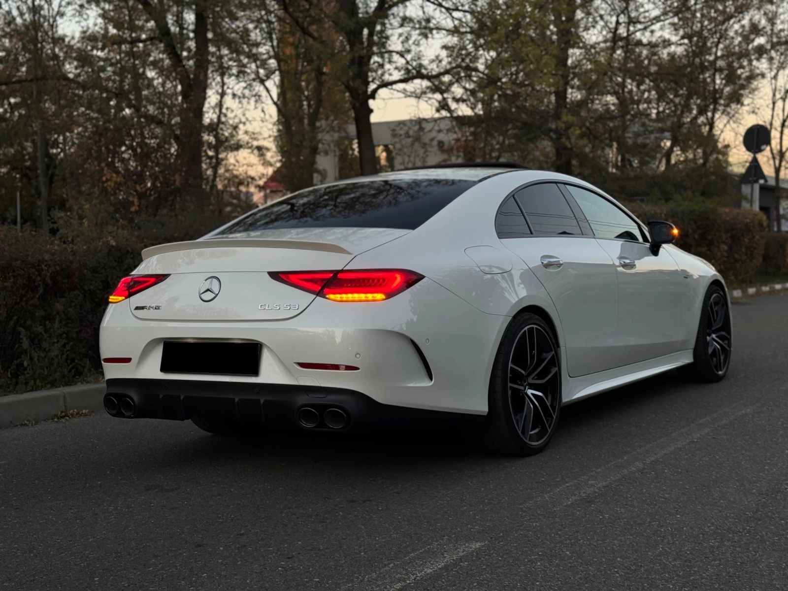 Mercedes-Benz CLS 53 AMG 4MATIC - изображение 2