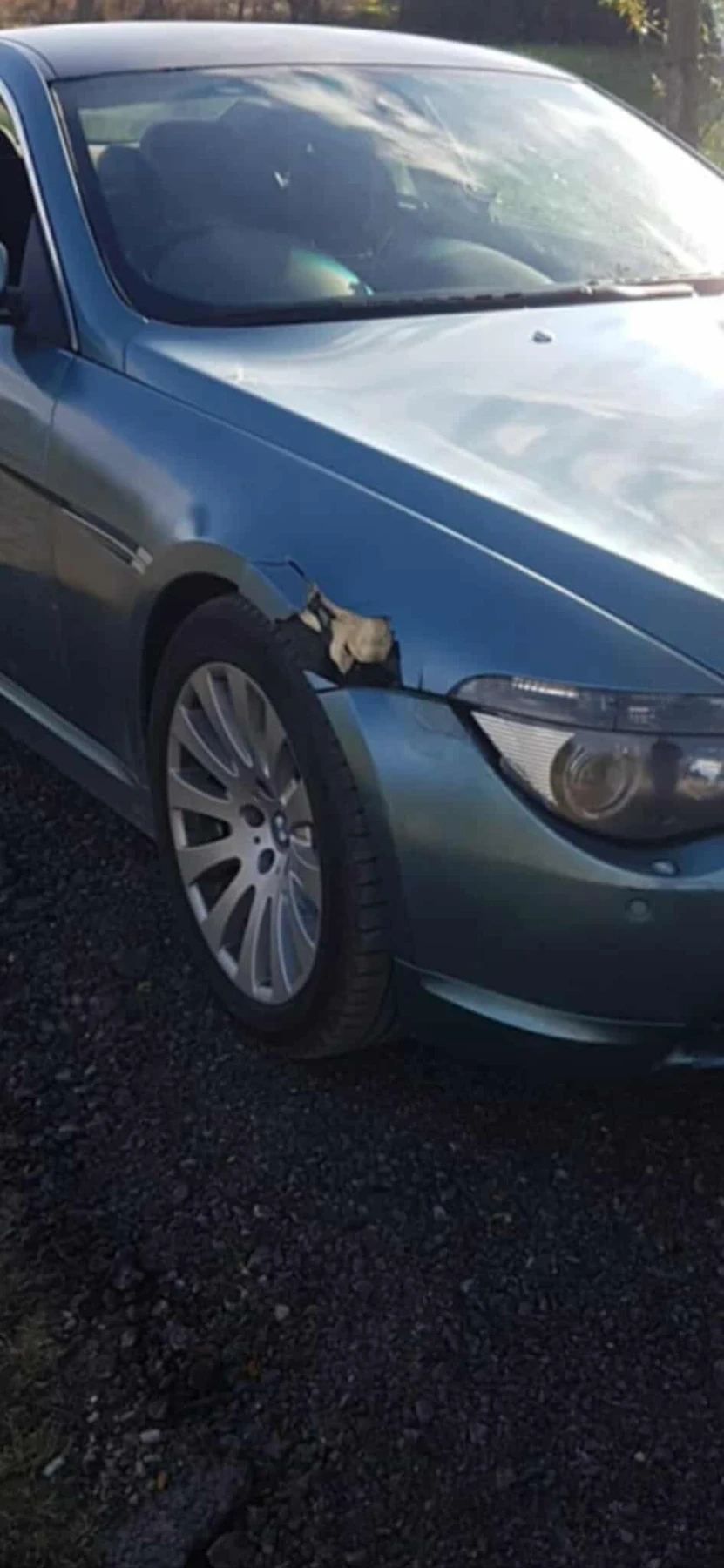 BMW 645 | Mobile.bg — изображение 6