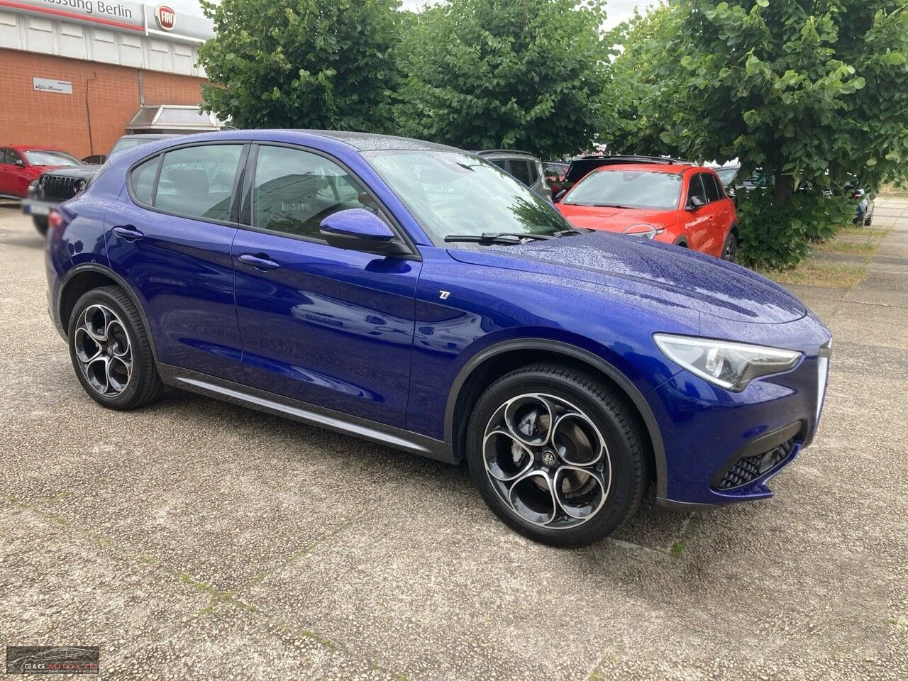 Alfa Romeo Stelvio 2.0-Turbo/280HP/Q- TI/ACC/CARPLAY/NAVI/TSR/543b - изображение 5