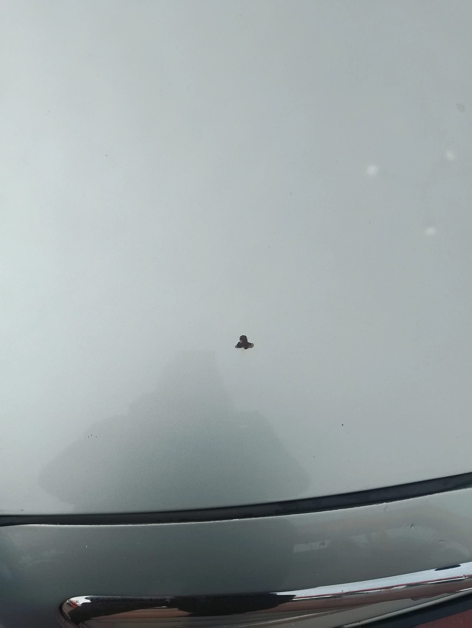 Toyota Avensis | Mobile.bg � ����������� 10