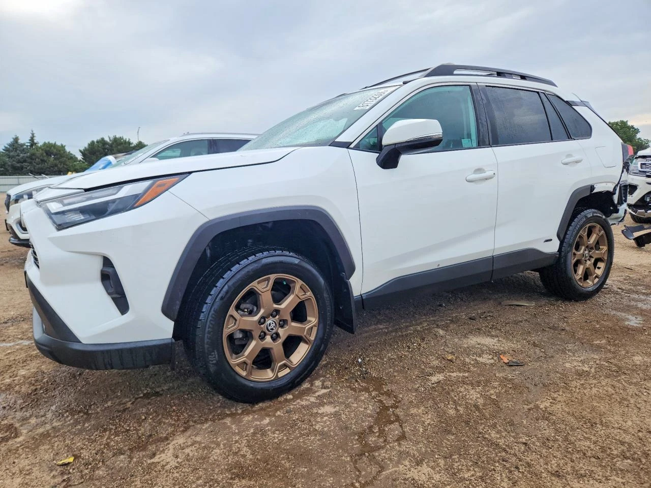 Toyota Rav4 2.5l Woodland Edition