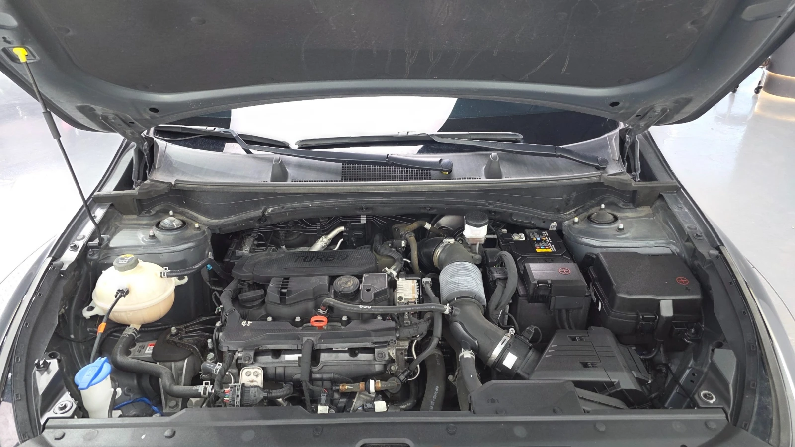 Kia Sportage 1.6 Turbo 4WD Signature Gravity, снимка 5 - Автомобили и джипове - 56103183