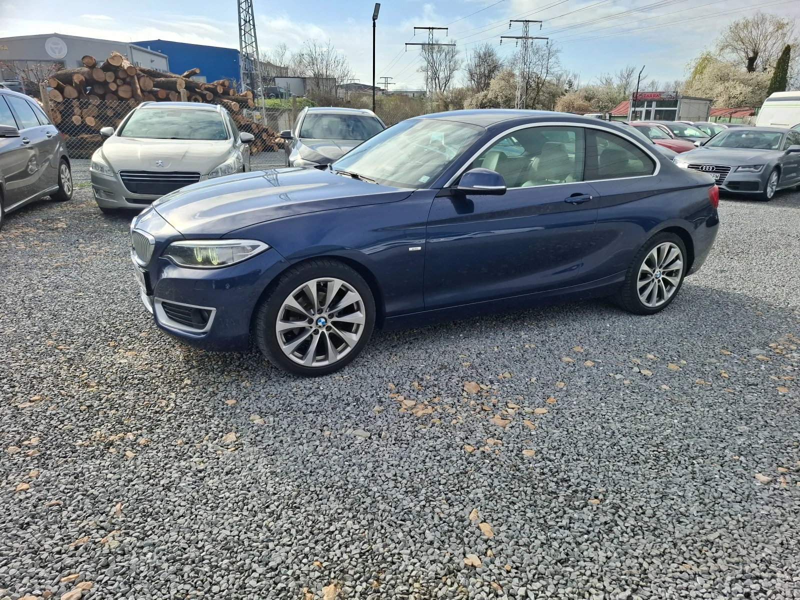 BMW 220, снимка 2 - Автомобили и джипове - 54078752