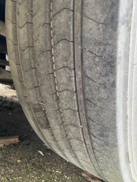 Man Tgx 18.440, снимка 9