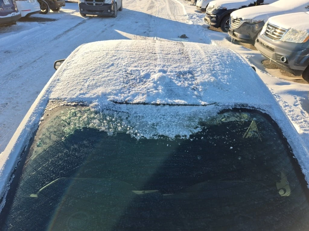 Ford Mustang * SHELBY GT350 * CARFAX * ���� �� �������� | Mobile.bg � ����������� 15