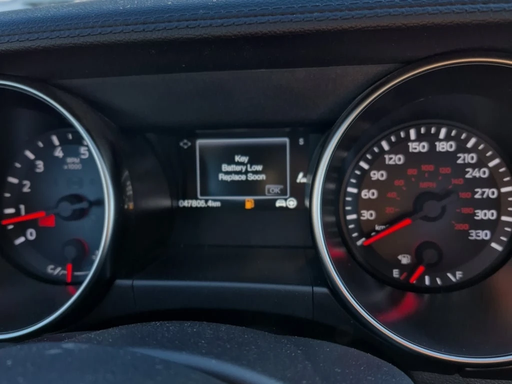 Ford Mustang * SHELBY GT350 * CARFAX * ЦЕНА ДО БЪЛГАРИЯ - изображение 8