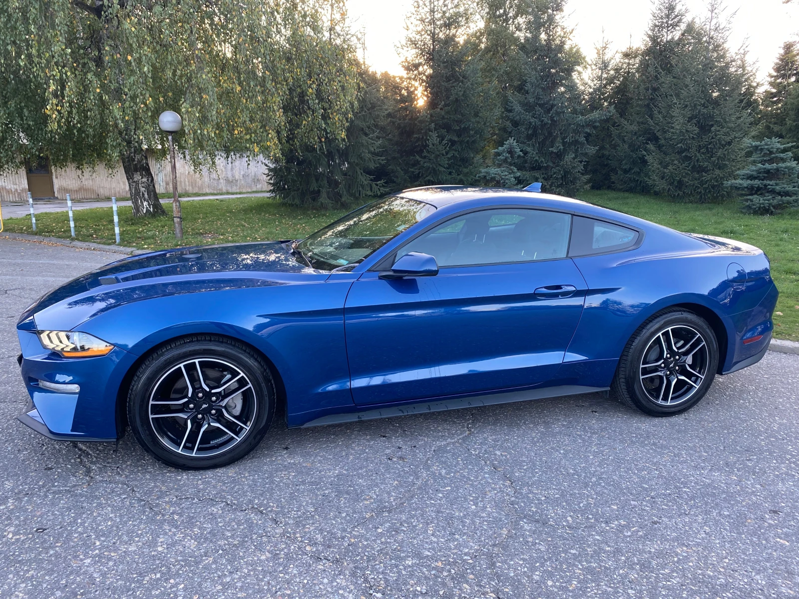 Ford Mustang VI (facelift) 2.3 GTDi EcoBoost SelectShift - изображение 8