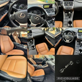 Lexus NX 300h ГАРАНЦИОНЕН / ПЪЛНА СЕРВИЗНА ИСТОРИЯ / ПАНОРАМА , снимка 15