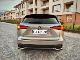     Lexus NX 300h  /    /  
