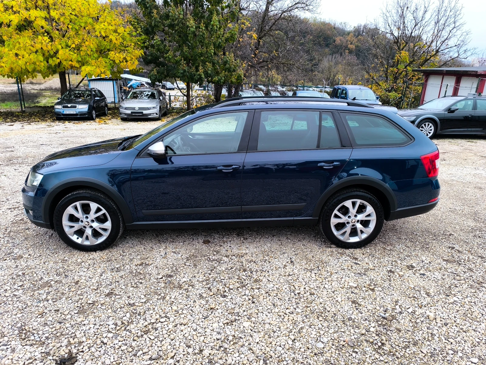 Skoda Octavia 2.0TDI 4X4 SCOUT | Mobile.bg   4